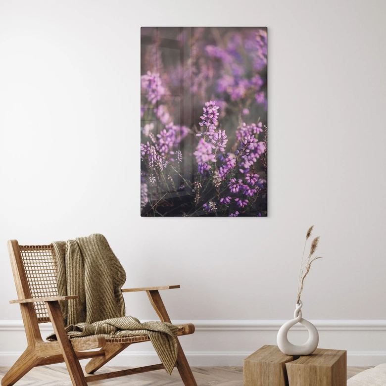 Glasbild Lila Heideblüte im warmen Licht - Annie 