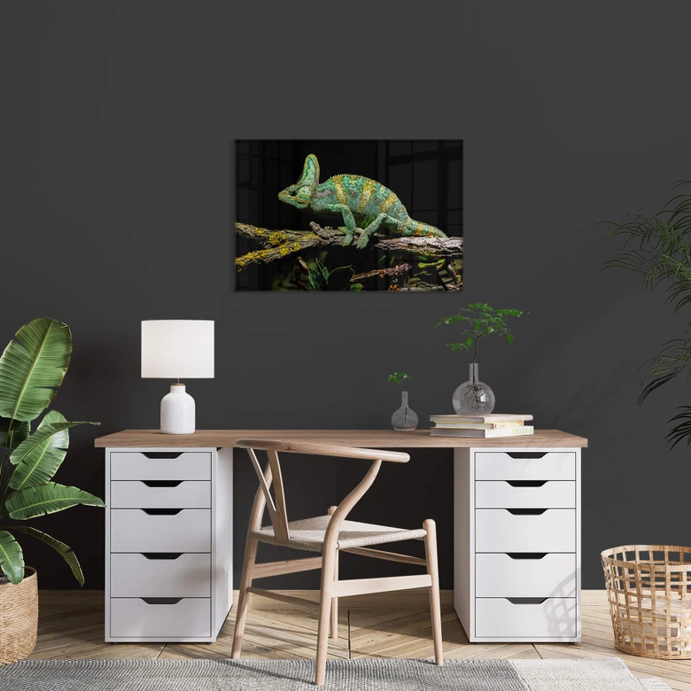 Glasbild Brown - Chamäleon 