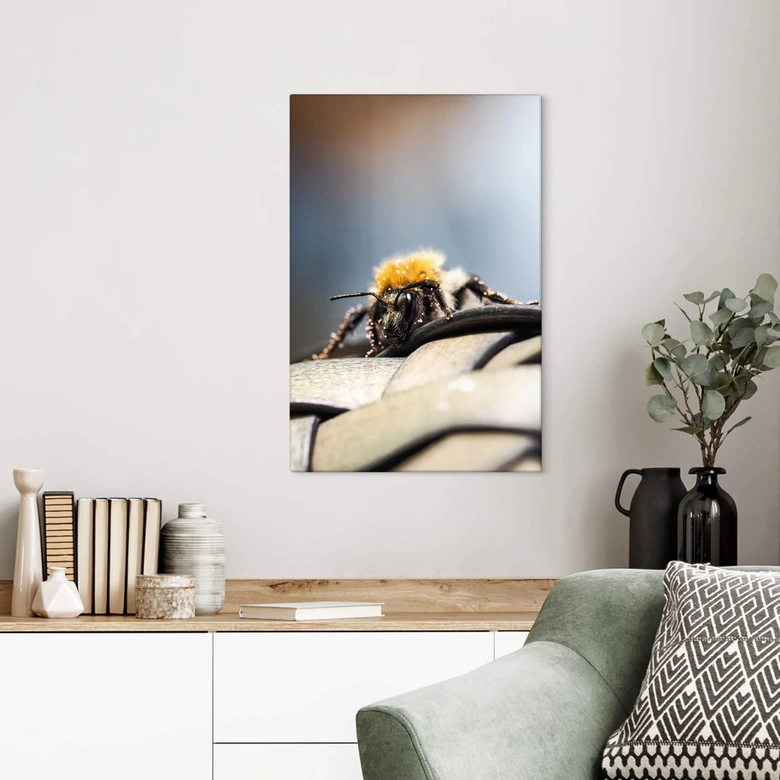 Glasbild Brown - Makro Biene 