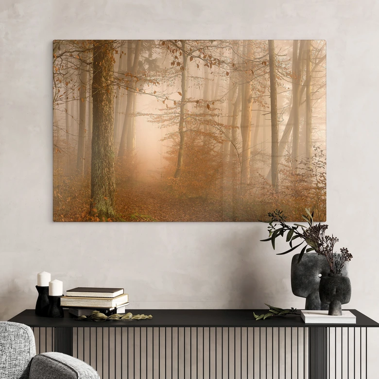 Glasbild Wald & Bäume - Dunst und Licht im herbstlichen Wald - Maier 