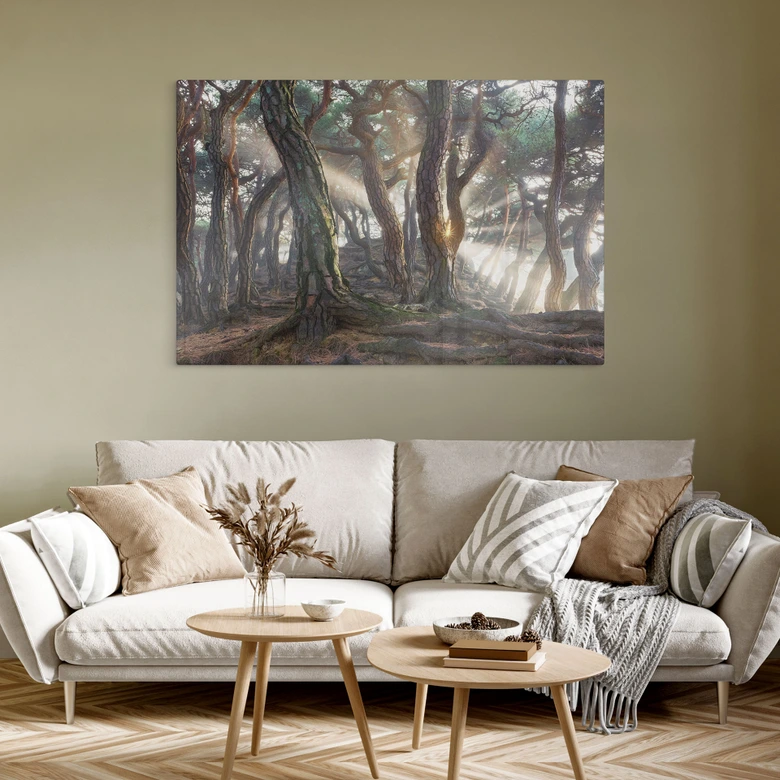 Glasbild Heiliger Kiefernwald - Ryu 