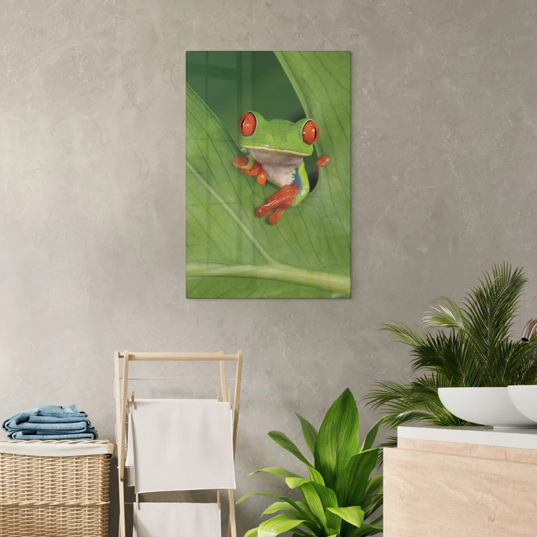Glasbild Laubfrosch im Regenwald - van Duijn 