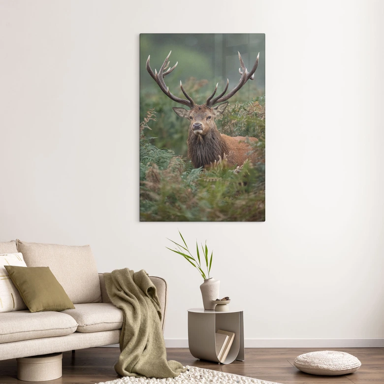 Tableau en verre Cerf élaphe - sentinelle de la forêt - van Duijn 