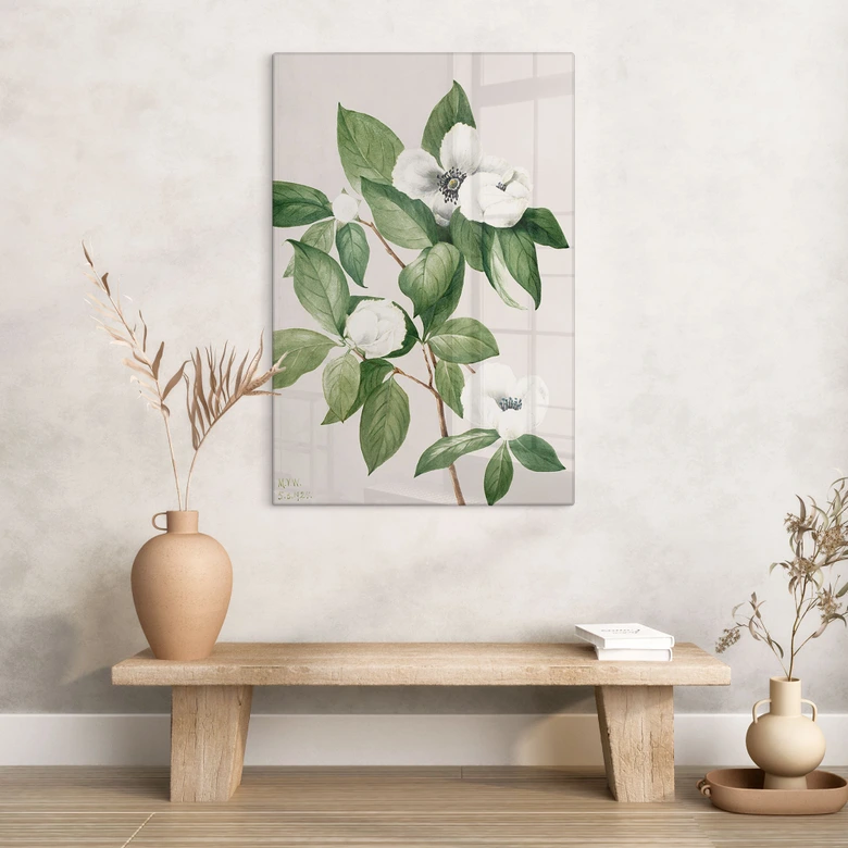 Glasbild Botanik Illustration einer Scheinkamelie - Walcott 