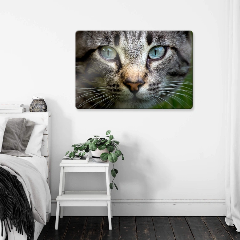 Glasbild Cuadrado - In your eyes 