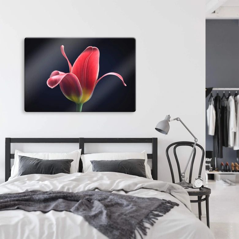 Glasbild Grønkjær - First Tulip 