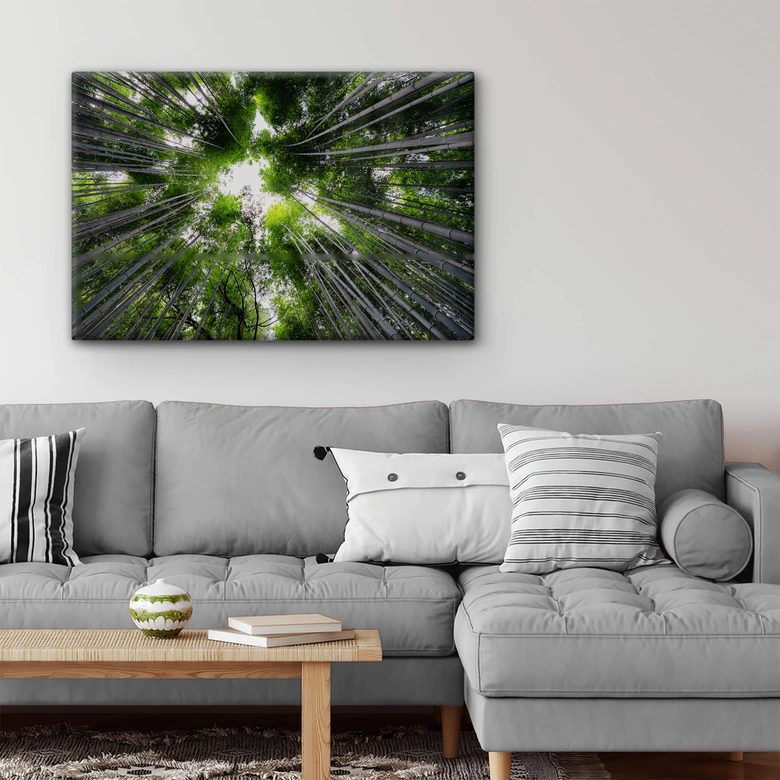 Glasbild Hugonnard - Wald in Japan 