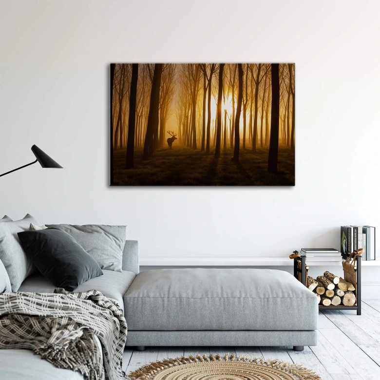 Glasschilderij Norim - Forest Beauty 