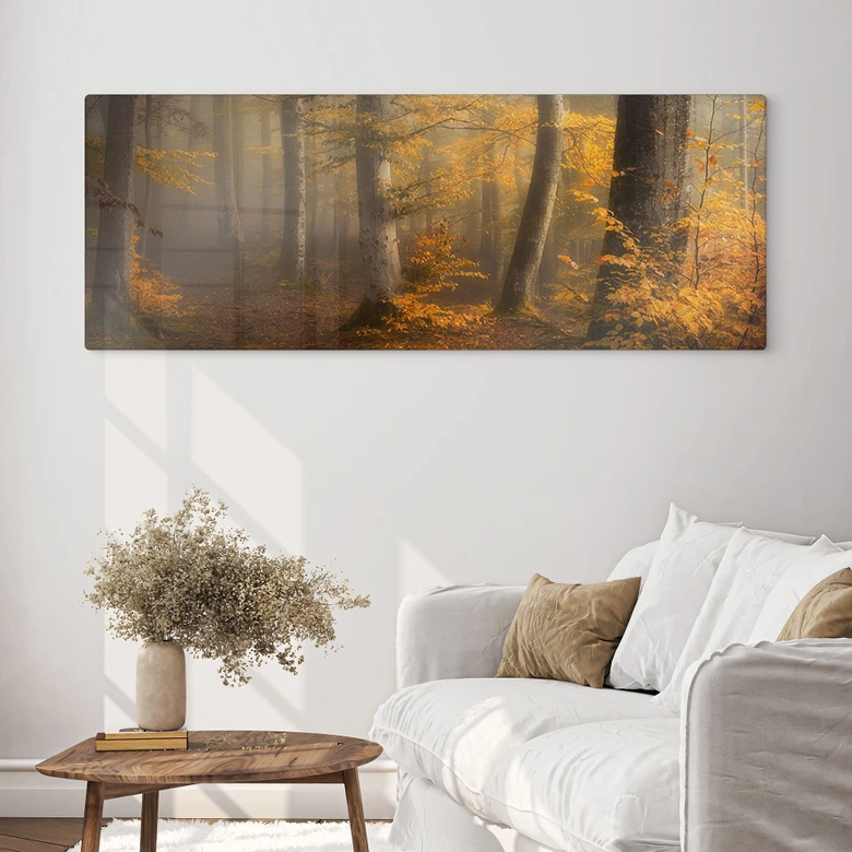 Tableau en verre Feuilles d'or dans la forêt brumeuse - Maier - Panorama 