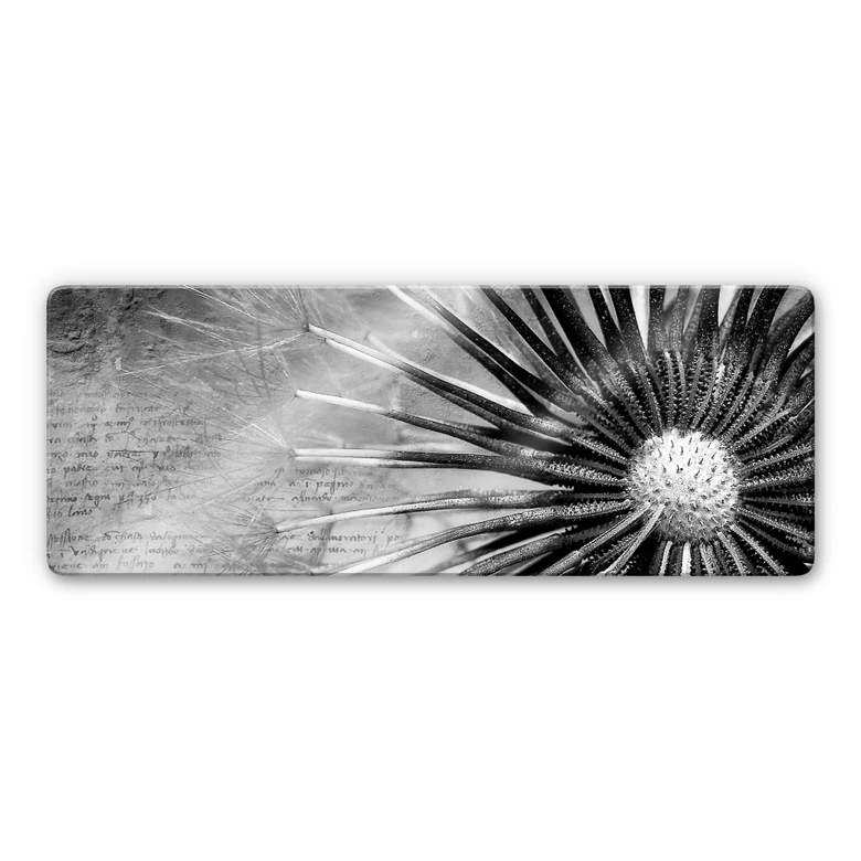 Tableau en verre - Pissenlit - Panorama 