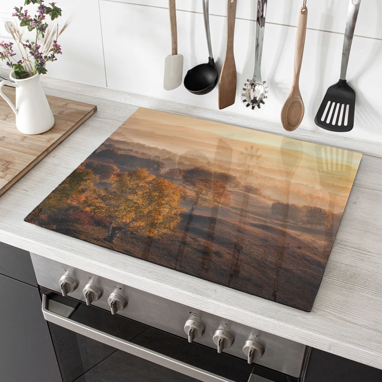 Plaque de cuisinière Bouleaux dans la rosée dorée du matin - Cui 