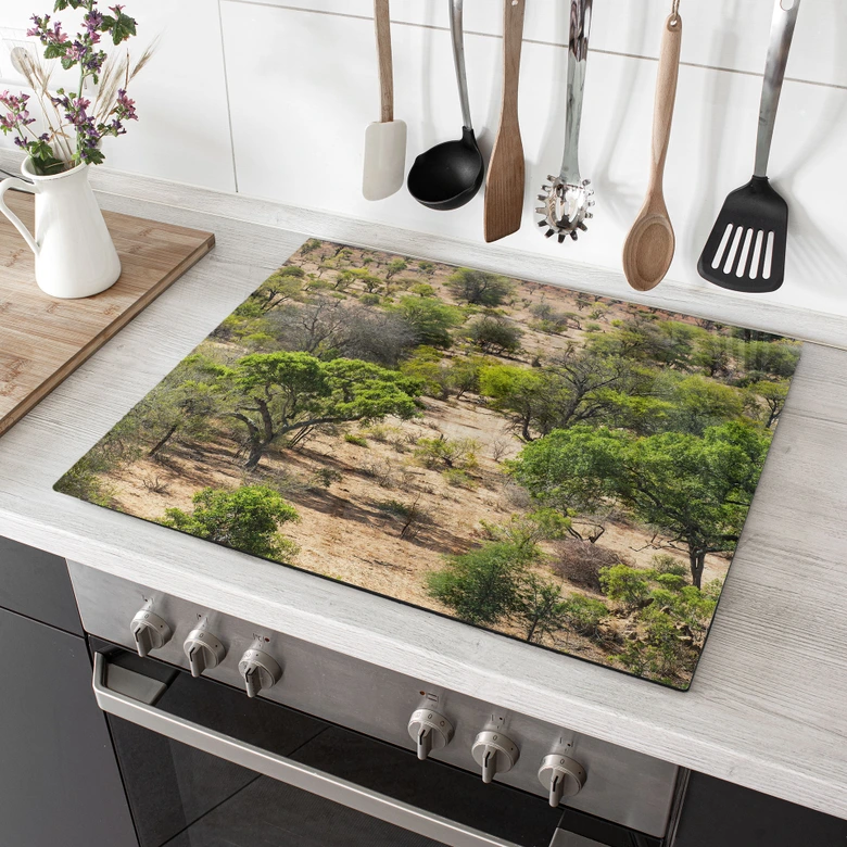 Stove cover plate savannah landscape in Africa - Hugonnard 