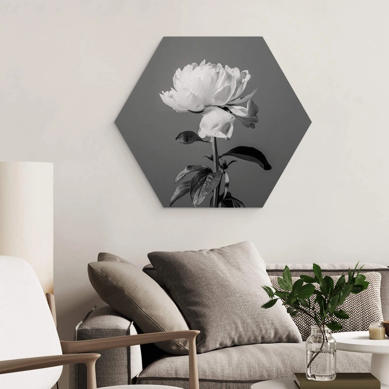 Hexagon - Alu-Dibond 1X Studio - Pfingstrose schwarz-weiß 