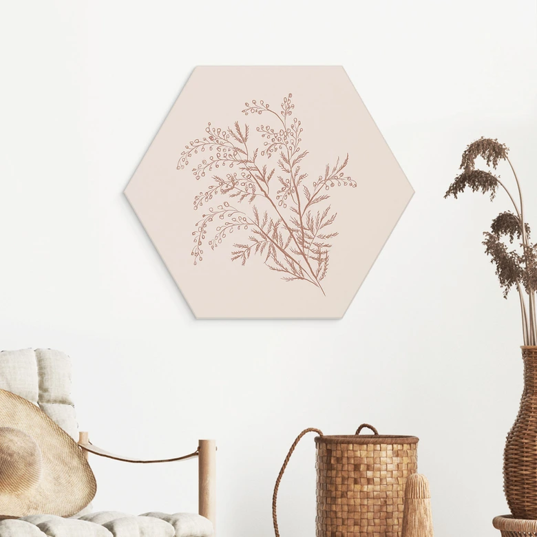Hexagon Wandbild Zweig der Akazie in Mokkafarben - Anis Illustration - Alu-Dibond 