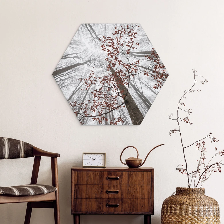 Hexagon Wandbild Baumkronen mit roten Blättern - Alu-Dibond - Coman 