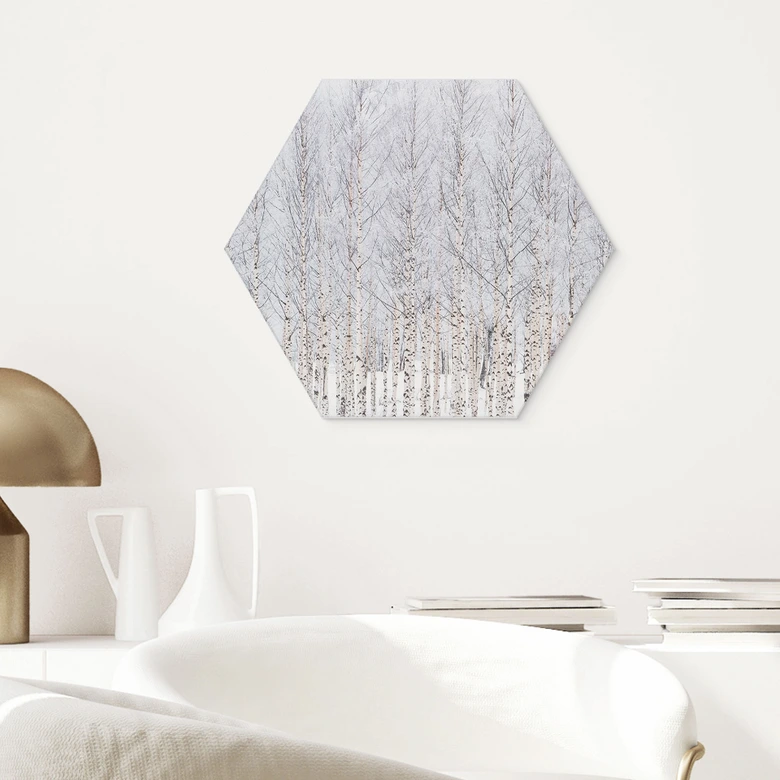 Hexagon Wandbild Birkenwald im Winter - EMELIEmaria - Alu-Dibond 