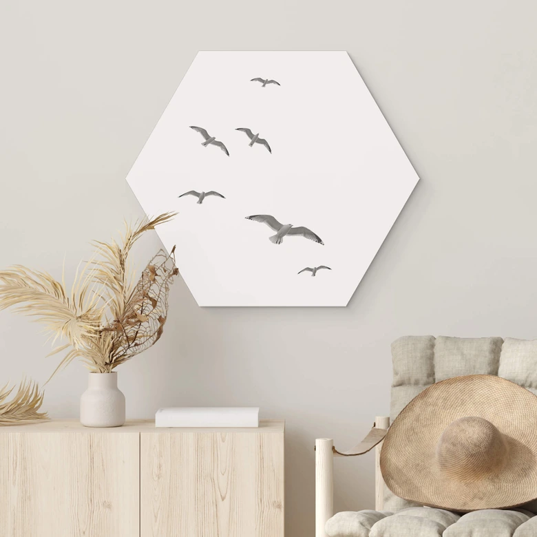 Hexagon Wandbild Möwen am Himmel - Alu-Dibond 