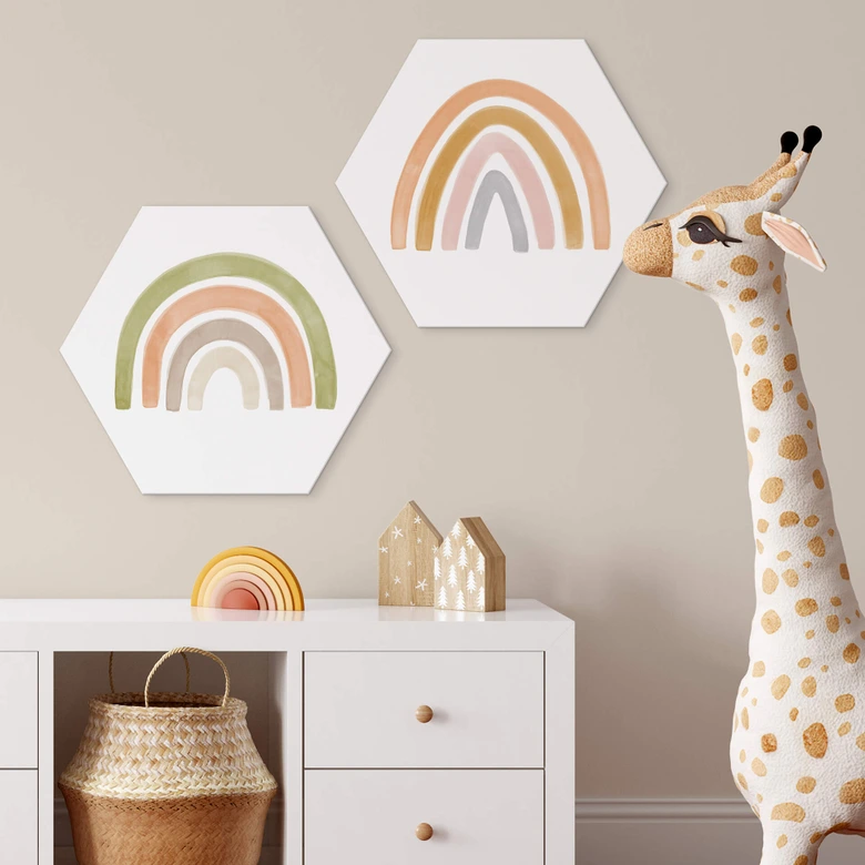 Hexagon Dibond Nouveauprints - Bonte Regenboog 