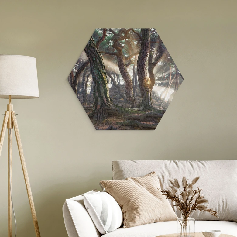 Hexagon Wandbild Heiliger Kiefernwald - Ryu - Alu-Dibond 