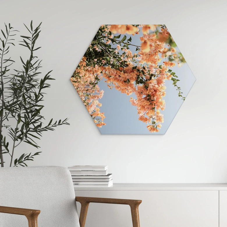 Hexagon Dibond Perzikkleurige bloesems in Assos - Shot by Clint 