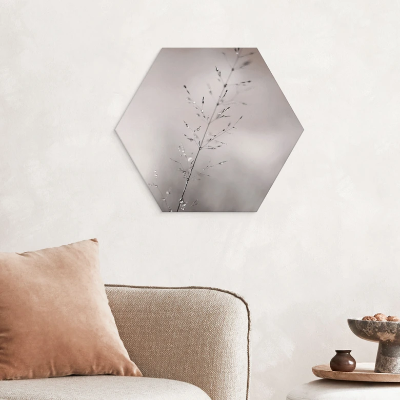 Hexagon Wandbild Grashalm mit Tautropfen - Sillen - Alu-Dibond 