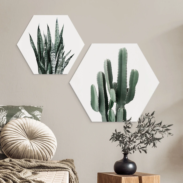 Hexagon Wandbild Kaktus Pflanze - Alu-Dibond - Sisi & Seb 