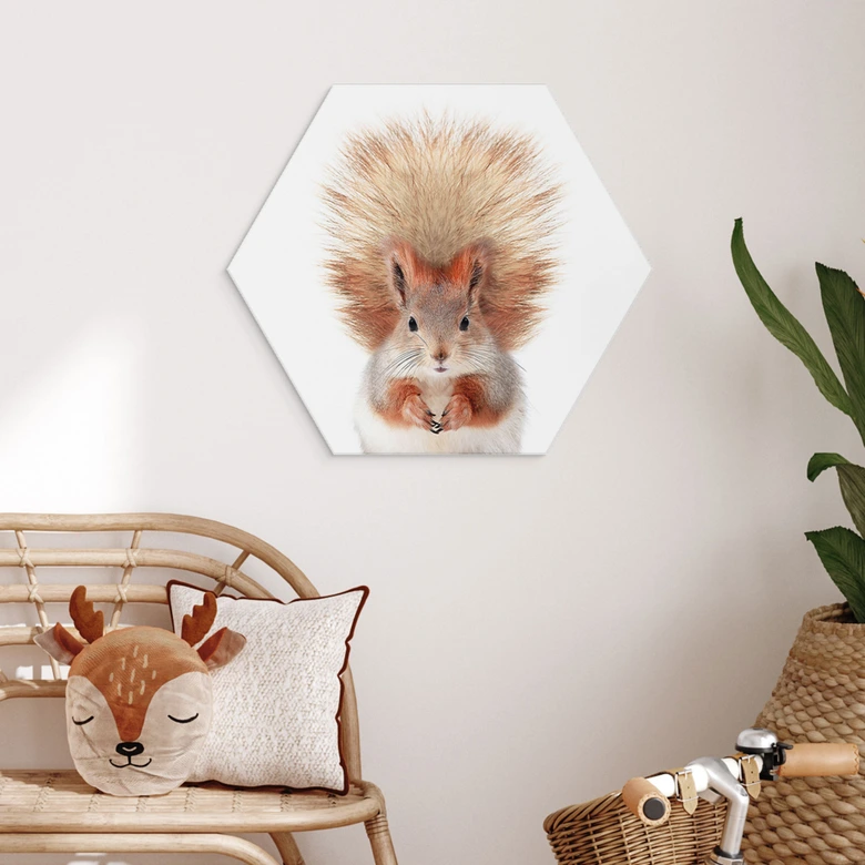 Hexagon Wandbild Kleines Eichhörnchen - Alu-Dibond - Sisi & Seb 