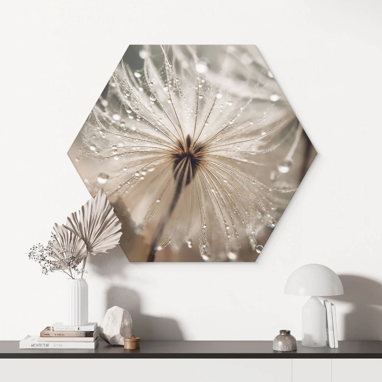 Hexagon Wandbild Pusteblume in Morgentau - Treechild - Alu-Dibond 