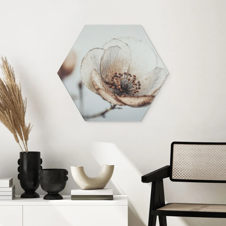 Hexagon Wandbild Trockenblüte Beige Naturpoesie - Treechild - Alu-Dibond 