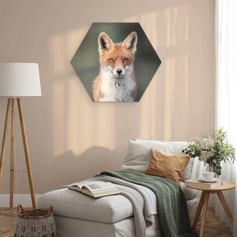 Hexagon - Alu-Dibond van Duijn - Fuchsaugen 