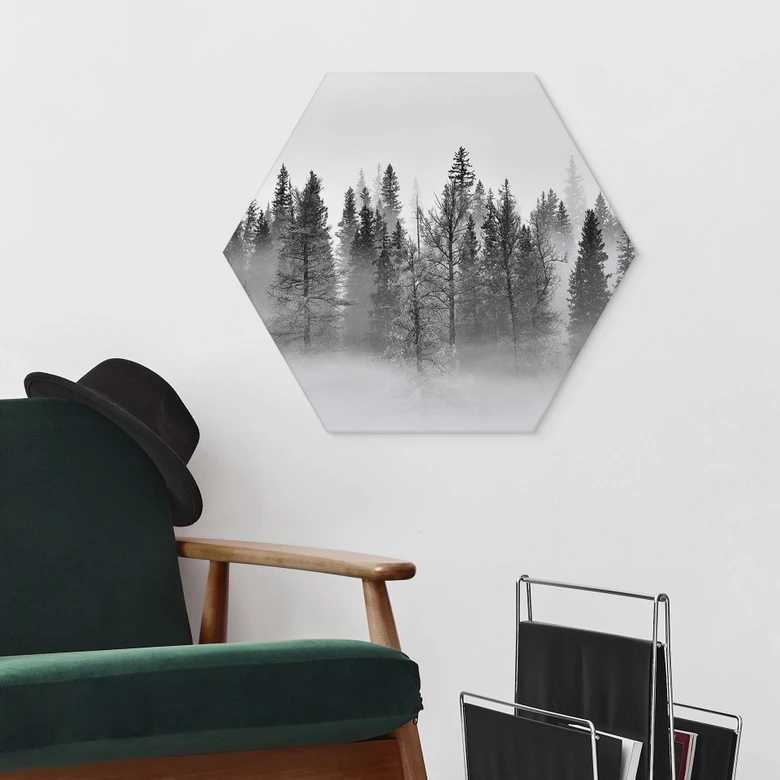 Hexagon Wandbild Nebelwald in Schwarz-Weiß - Alu-Dibond - Xu 