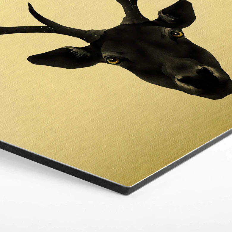 Hexagon - Alu-Dibond-Goldeffekt - Ireland - The Black Deer 