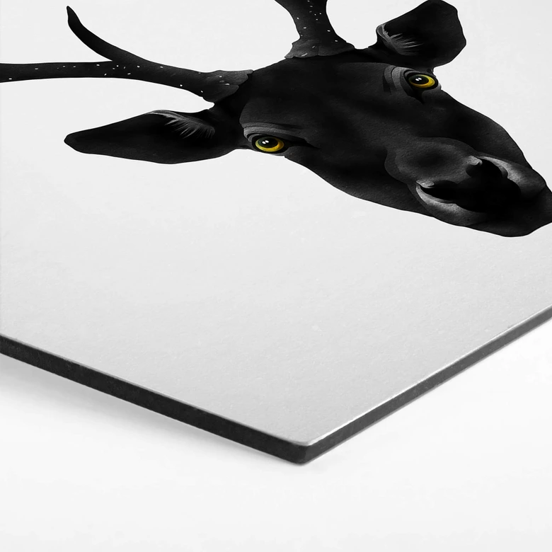 Hexagon - Alu-Dibond Ireland - The Black Deer 