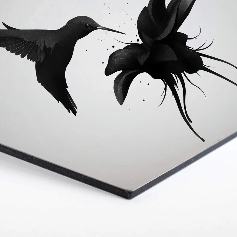 Hexagon Dibond Ireland - Kolibrie 