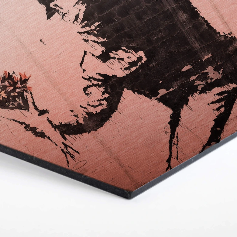 Hexagon - Alu-Dibond- koper effect Banksy - Flower Thrower 