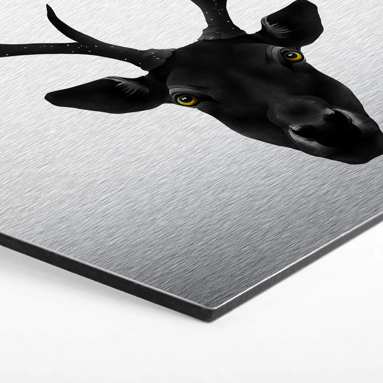 Hexagon - Alu-Dibond-Silbereffekt - Ireland - The Black Deer 