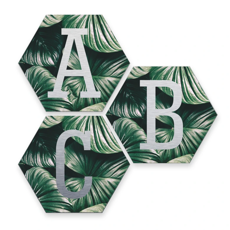 Hexagon Alu-Dibond Silver Deco-Letters Jungle 