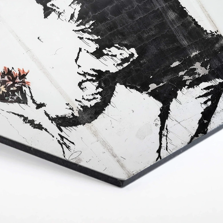 Hexagon - Alu-Dibond Banksy - Flower Thrower 