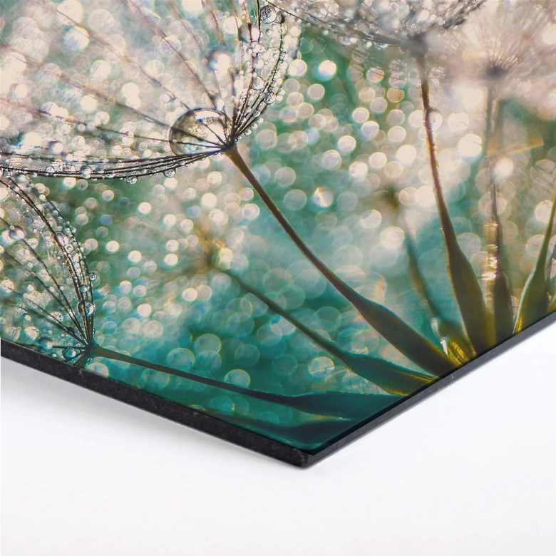 Hexagon - Alu-Dibond Delgado - Glittery Dandelions 