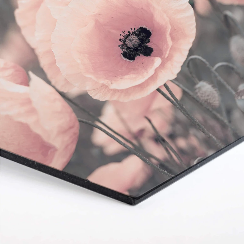 Esagoni in Alu-dibond Delgado - Papavero rosa 