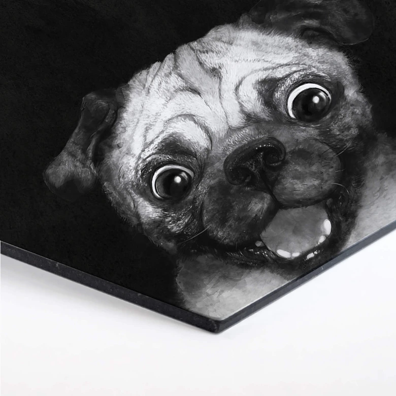 Hexagon - Alu-Dibond Graves - Snuggle Pug 
