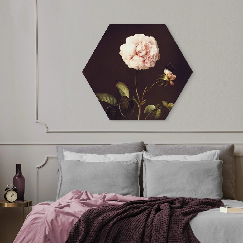 Hexagon - Alu-Dibond Dietzsch - Essigrose mit Hummel 