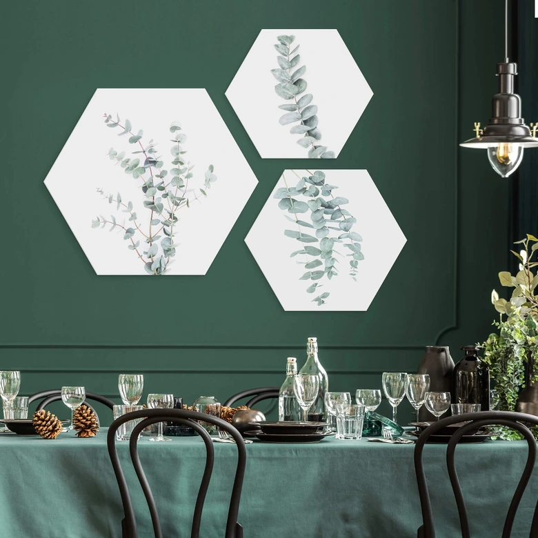 Hexagon - Alu-Dibond Sisi & Seb - Eukalyptuszweig 