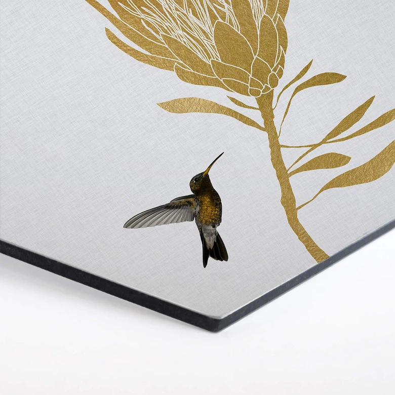 Hexagon - Alu-Dibond Orara Studio - Hummingbird and Flower - goldene Blume 
