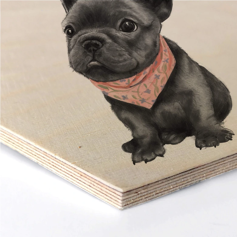 Hexagon - Holz Birke-Furnier Graves - Frenchie 