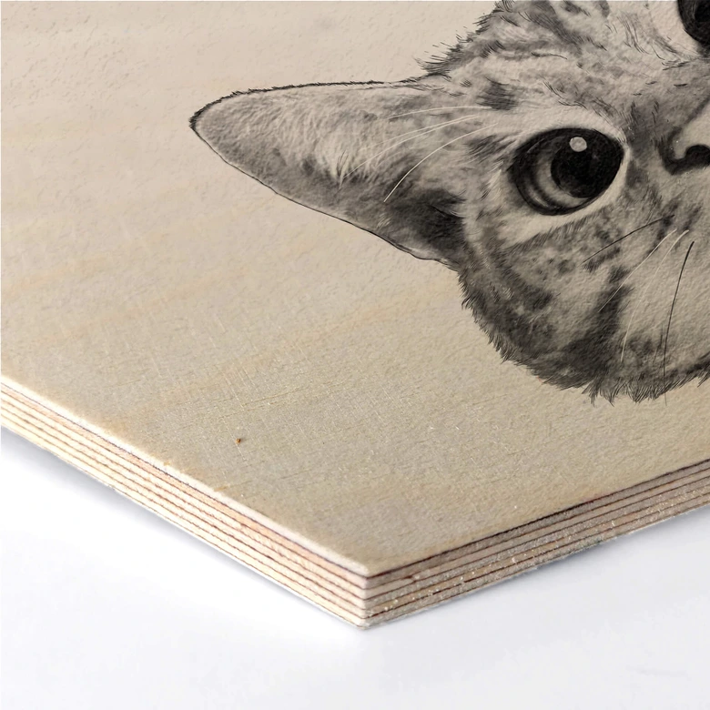 Hexagon - Holz Birke-Furnier Graves - Sneaky Cat 