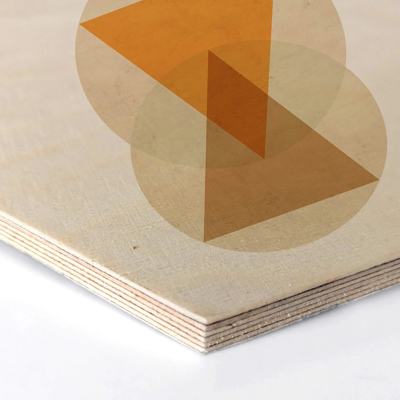 Hexagon - Holz Birke-Furnier Nouveauprints - Circles and triangles orange and brown 