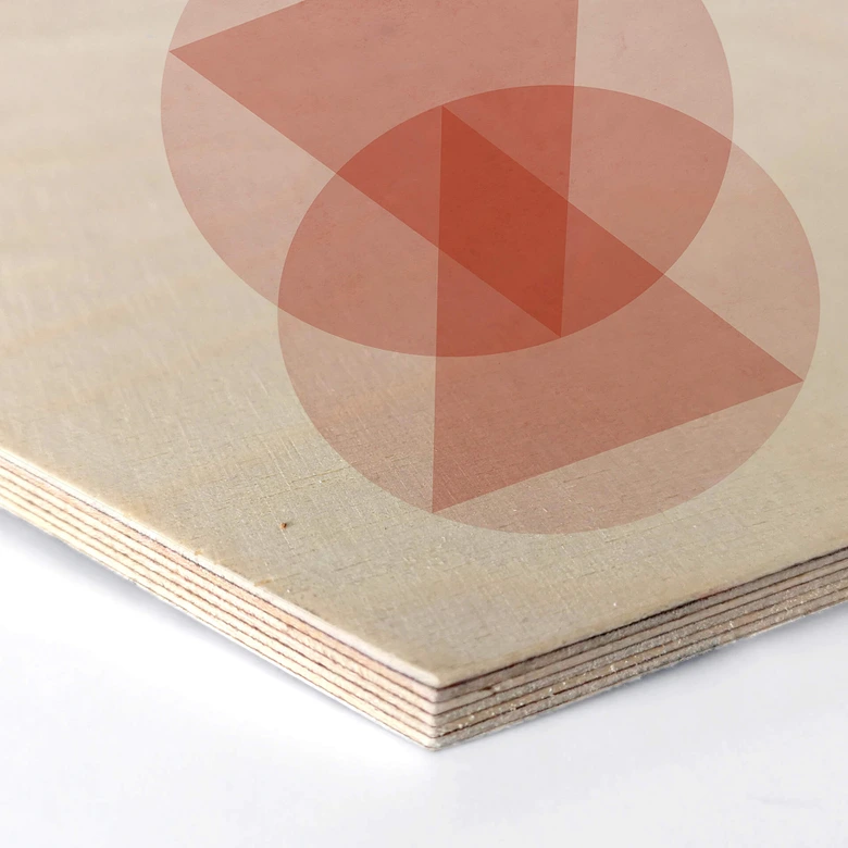 Hexagon - Holz Birke-Furnier Nouveauprints - Circles and triangles pink 