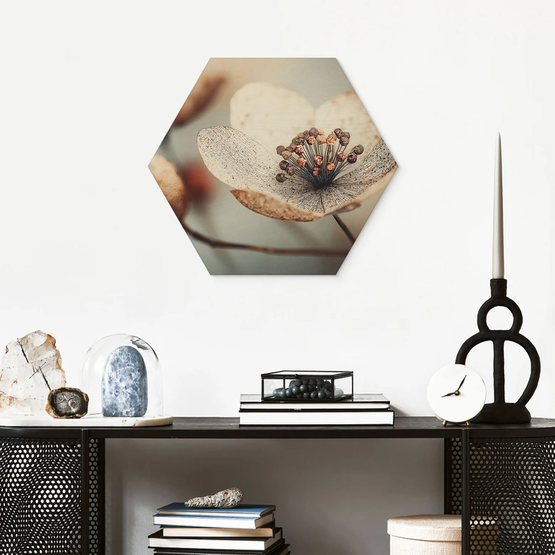 Hexagon Holzbild Boho Trockenblume Makro - Treechild 