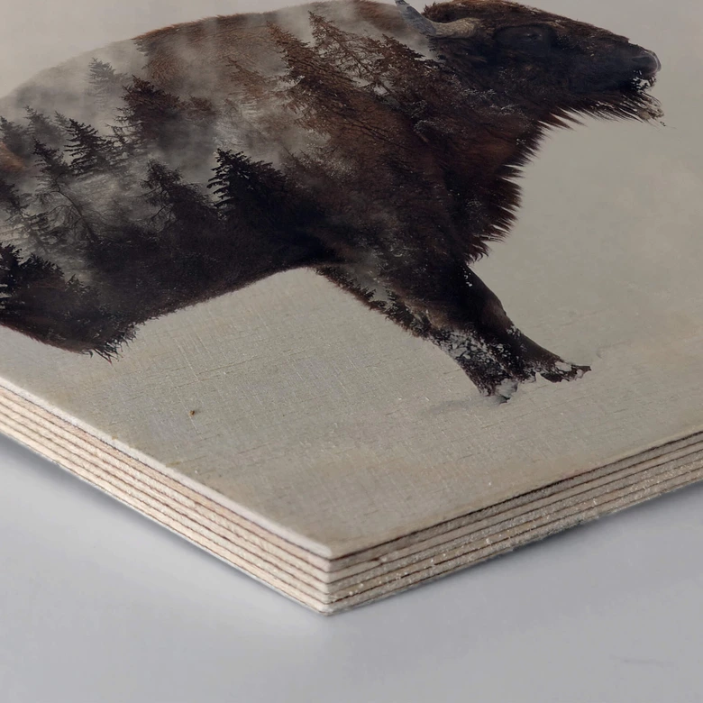 Hexagon - Holz Birke-Furnier - Beáta - Der Bison 